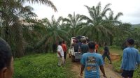 IMG-20250713-WA0093