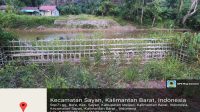 IMG-20250826-WA0113