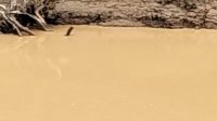 IMG-20251031-WA0093