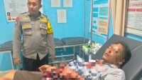 IMG-20251101-WA0205