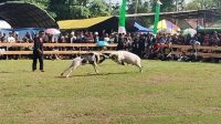 IMG-20251109-WA0044
