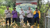 IMG-20251126-WA0055