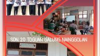 IMG-20251127-WA0012