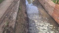 IMG_20251118_074041