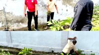 FB_IMG_1766907974967