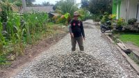 IMG-20251218-WA0056