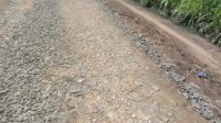IMG-20251224-WA0054(1)