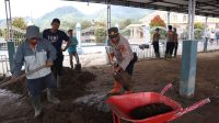IMG-20260105-WA0029
