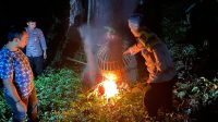 IMG-20260108-WA0133