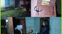 IMG-20260122-WA0414