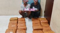 IMG-20260128-WA0154