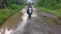 IMG_20260123_172931