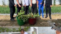 FB_IMG_1772001335479