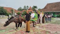 IMG-20260212-WA0252