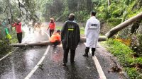 IMG-20260213-WA0228
