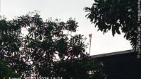 2026-03-27 16.34.11_Blok E38, No.42, Jalan Boulevard Bukit Gading Raya