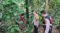 IMG-20260302-WA0071