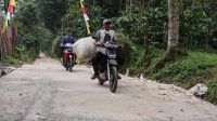 IMG-20260311-WA0056