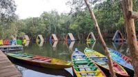 IMG-20260322-WA0023