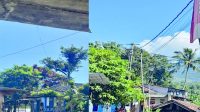 IMG-20260415-WA0006