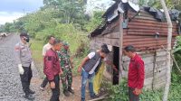 IMG-20260508-WA0041