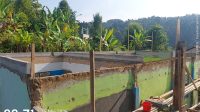 IMG-20260521-WA0102