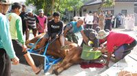 IMG-20260527-WA0197