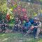 IMG-20260611-WA0245