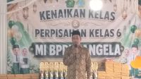 IMG-20260615-WA0091