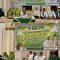 IMG_20260616_180851
