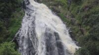 IMG-20260713-WA0058