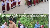 IMG-20260713-WA0160(1)