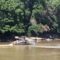IMG-20260719-WA0053