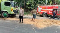 IMG-20260721-WA0053
