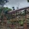 IMG-20260722-WA0052