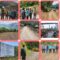 IMG-20260725-WA0233