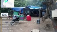 IMG-20260726-WA0285