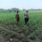 WhatsApp Image 2026-07-08 at 09.59.54