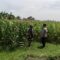 WhatsApp Image 2026-07-19 at 17.38.39