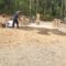 IMG-20260808-WA0042