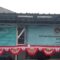 IMG-20260809-WA0041