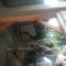 IMG-20260810-WA0026