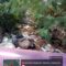 IMG-20260811-WA0292