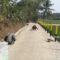 IMG-20260814-WA0542