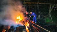 Screenshot_20260825-092259